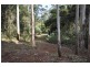 594 Binna Burra Road, Beechmont QLD 4211