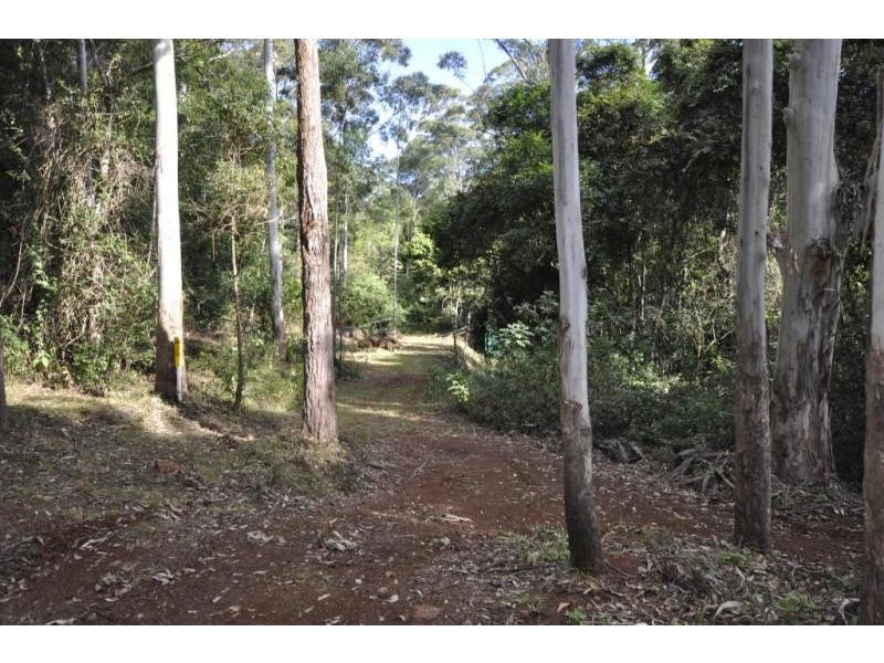 594 Binna Burra Road, Beechmont QLD 4211