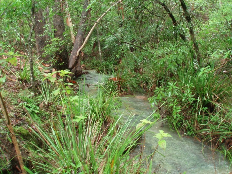 50 MERTON CLOSE, Kooralbyn QLD 4285