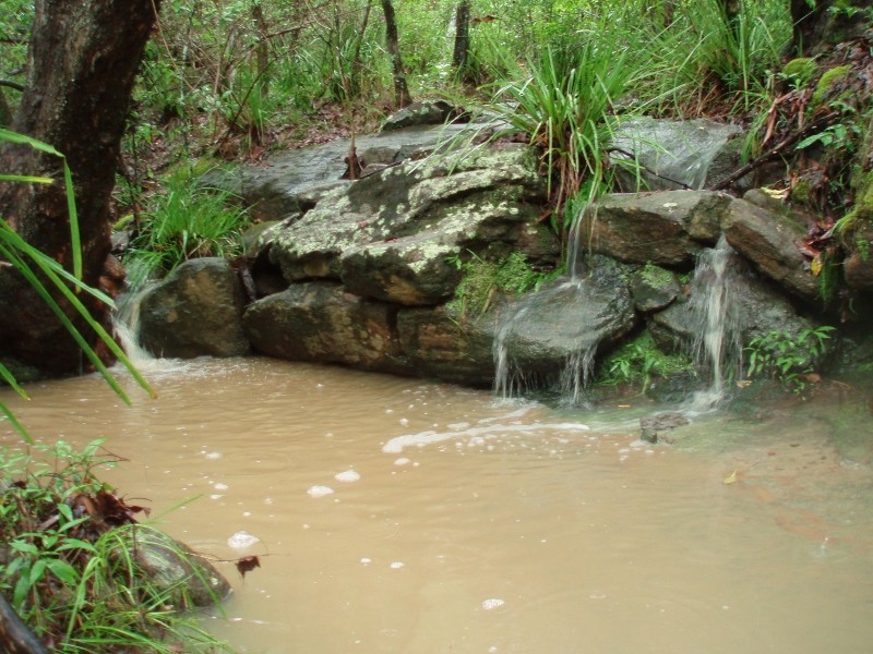 50 MERTON CLOSE, Kooralbyn QLD 4285