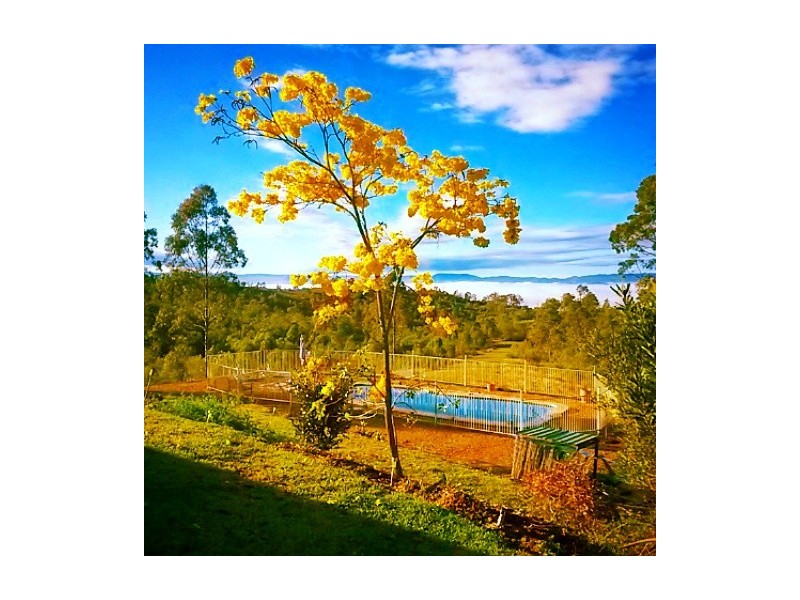 50 MERTON CLOSE, Kooralbyn QLD 4285