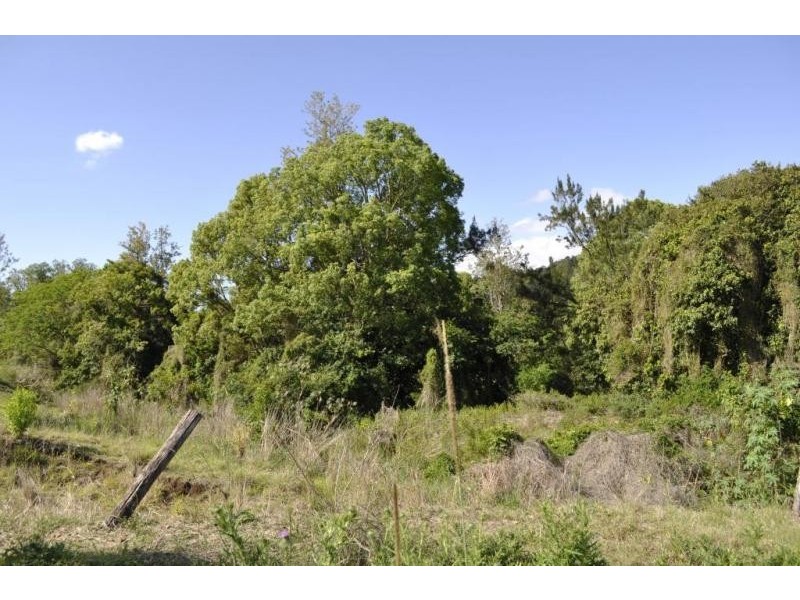 Lot 3, 3 Beaudesert-Nerang Road, Canungra QLD 4275