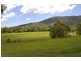 Canungra QLD 4275