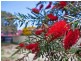 Lot 2 Isabella Road, Morphett Vale SA 5162