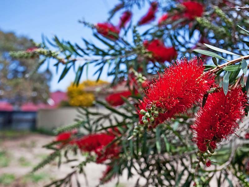 Lot 2 Isabella Road, Morphett Vale SA 5162