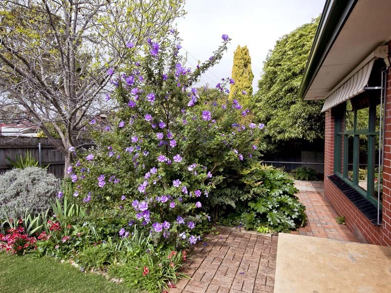 11 Modler Road, Morphett Vale SA 5162