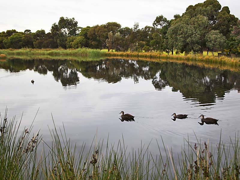 9/225 Brodie Road, Morphett Vale SA 5162