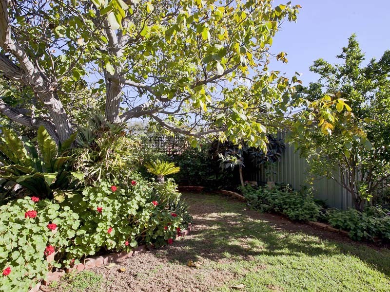 58 East Avenue, Black Forest SA 5035