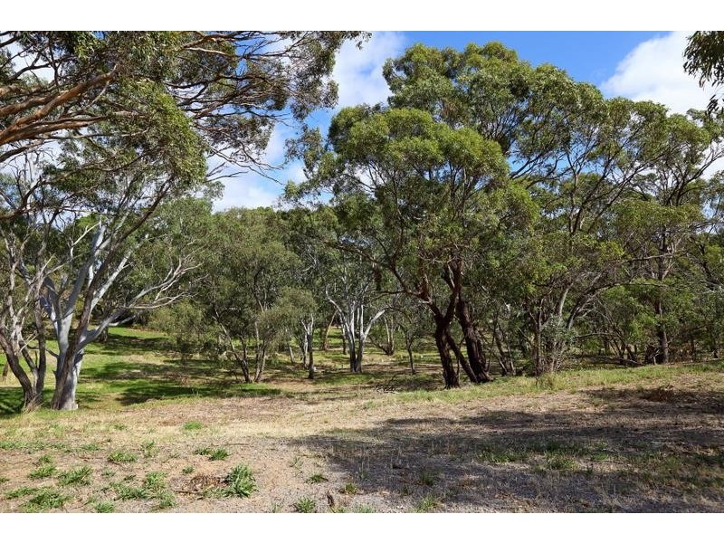 56B Glenloth Drive, Happy Valley SA 5159
