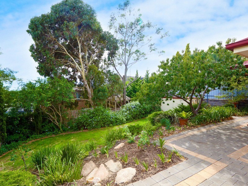 35 Greenfield Rise, Aberfoyle Park SA 5159