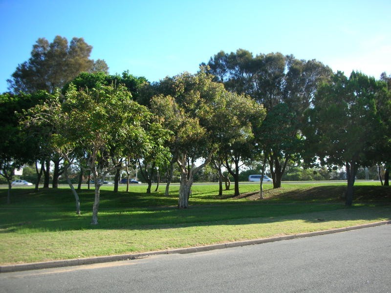 49 Beaker Street, Main Beach QLD 4217