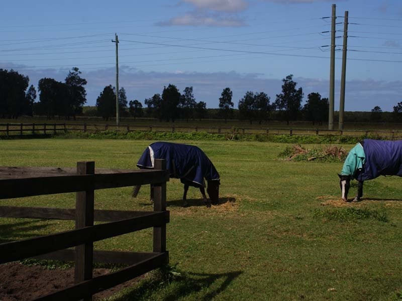 425 Cabbage Tree Rd, Williamtown NSW 2318