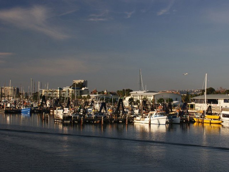 116 The Lane, Maryville NSW 2293