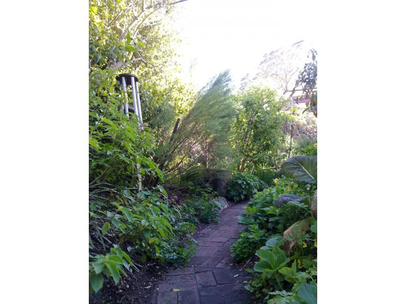 133 Mitchell Street, Stockton NSW 2295