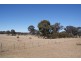 57 Christy Road, Cessnock NSW 2325