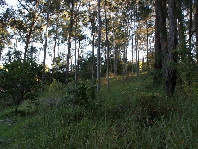 48 Roundhill Crescent, Karuah NSW 2324