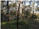 48 Roundhill Crescent, Karuah NSW 2324