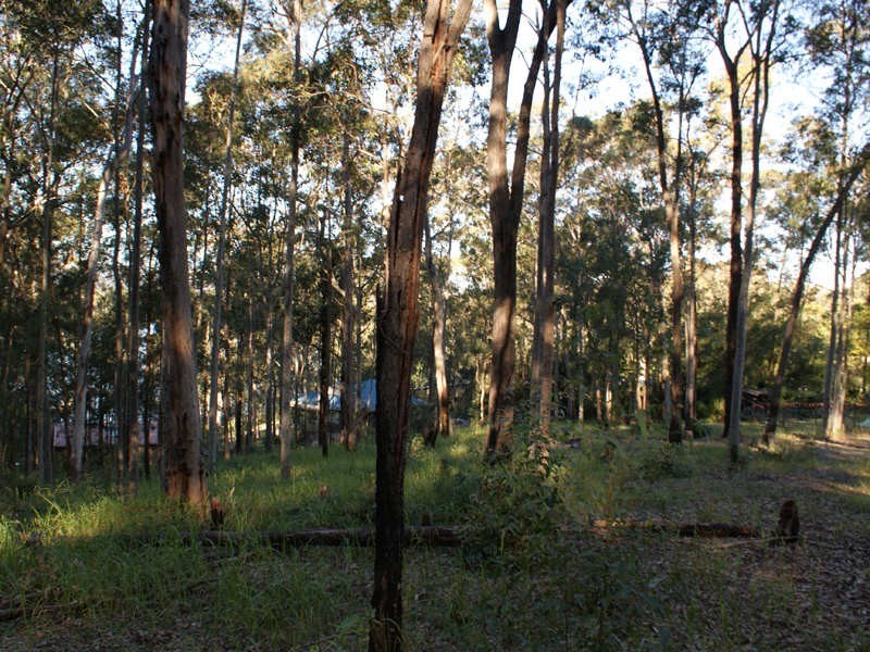48 Roundhill Crescent, Karuah NSW 2324