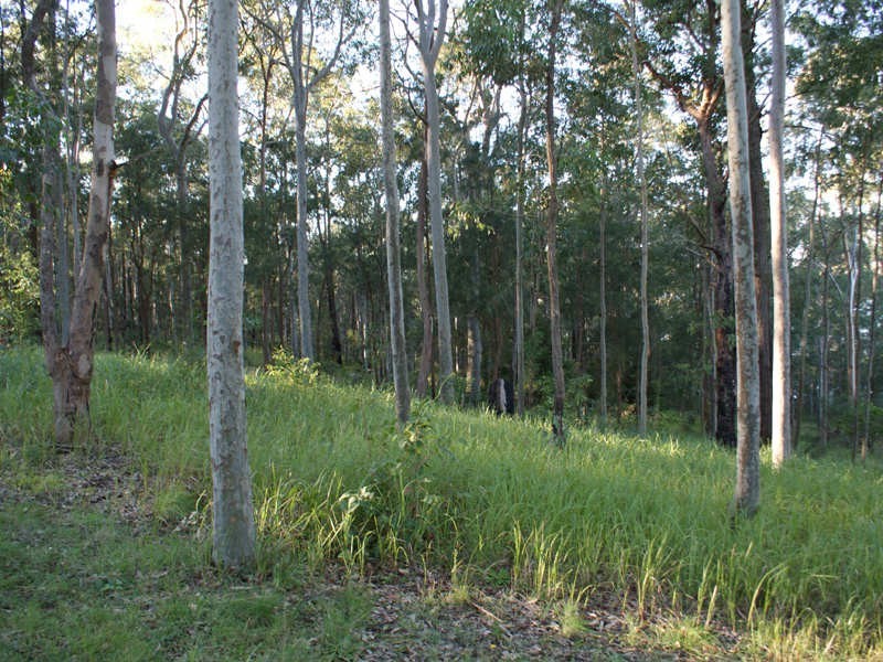 48 Roundhill Crescent, Karuah NSW 2324