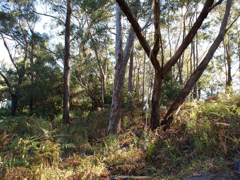 23 James Scott Crescent, Lemon Tree Passage NSW 2319