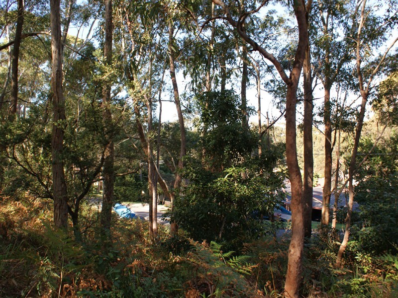 23 James Scott Crescent, Lemon Tree Passage NSW 2319