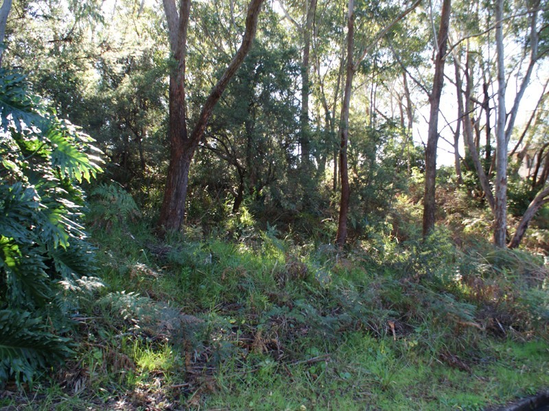 23 James Scott Crescent, Lemon Tree Passage NSW 2319