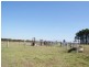 285 Cabbage Tree Road, Williamtown NSW 2318