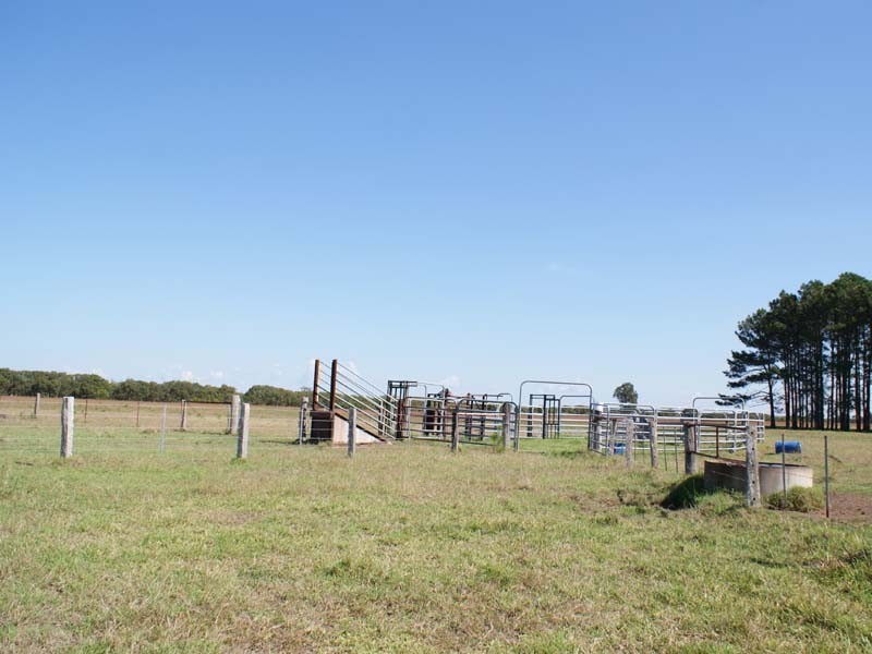 285 Cabbage Tree Road, Williamtown NSW 2318