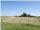 285 Cabbage Tree Road, Williamtown NSW 2318