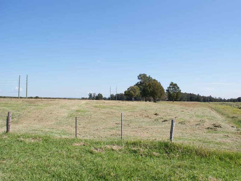 285 Cabbage Tree Road, Williamtown NSW 2318