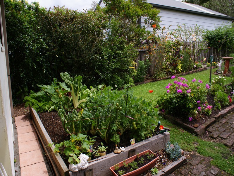 West Wallsend NSW 2286