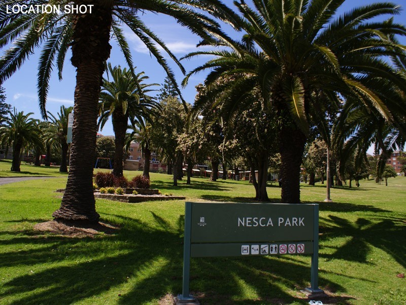 1/67 Nesca Pde, The Hill NSW 2300