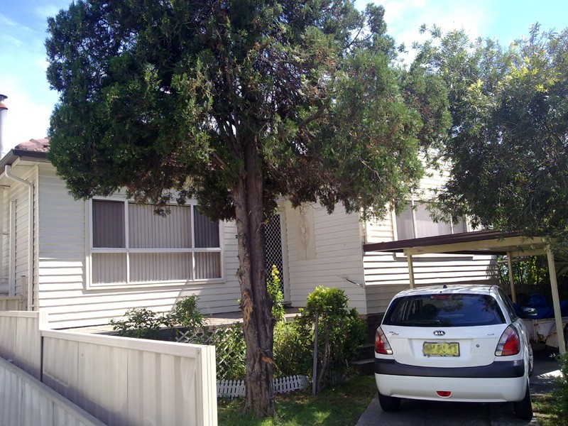 29 Maud Street, Mayfield NSW 2304
