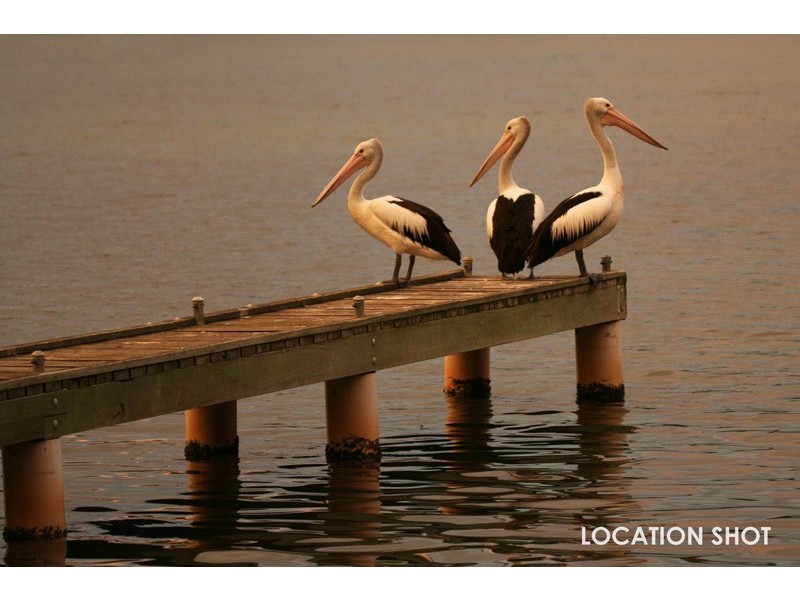 50 Railway Pde North, Blackalls Park NSW 2283