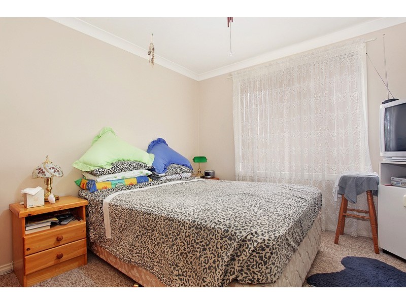 124 Woodford Street, Minmi NSW 2287