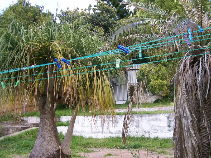 15 Compton Street, North Lambton NSW 2299