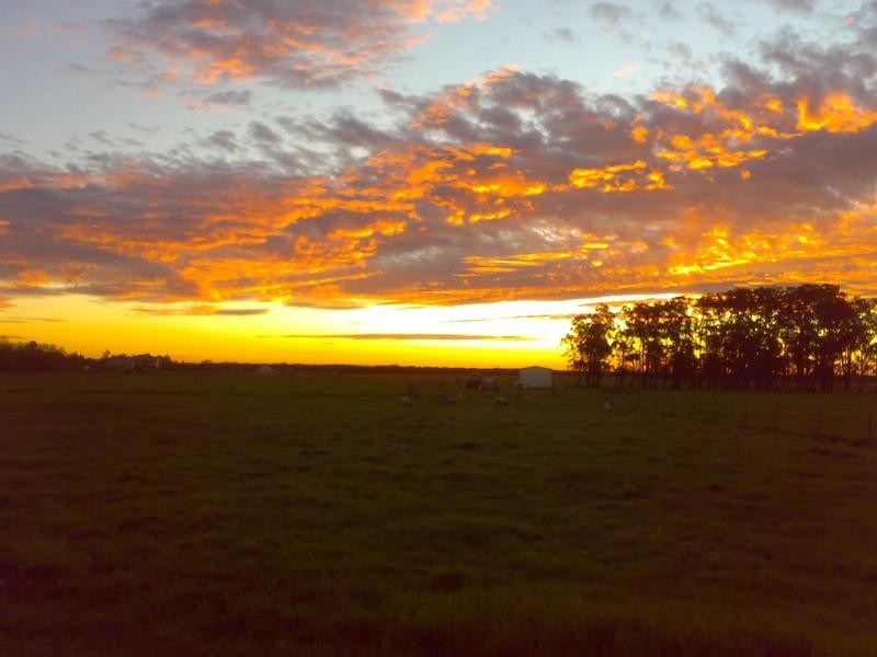 387 Fullerton Cove Rd, Fullerton Cove NSW 2318