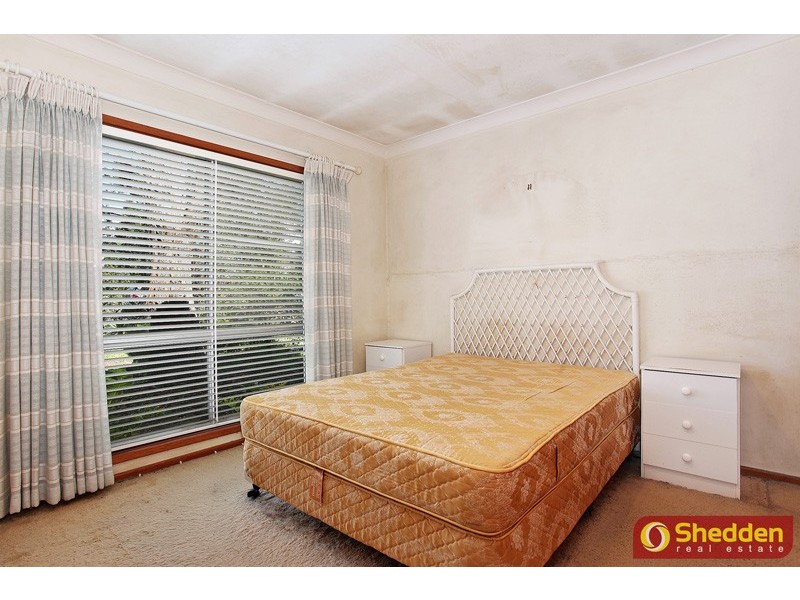 51 Delasala Dr, Macquarie Hills NSW 2285