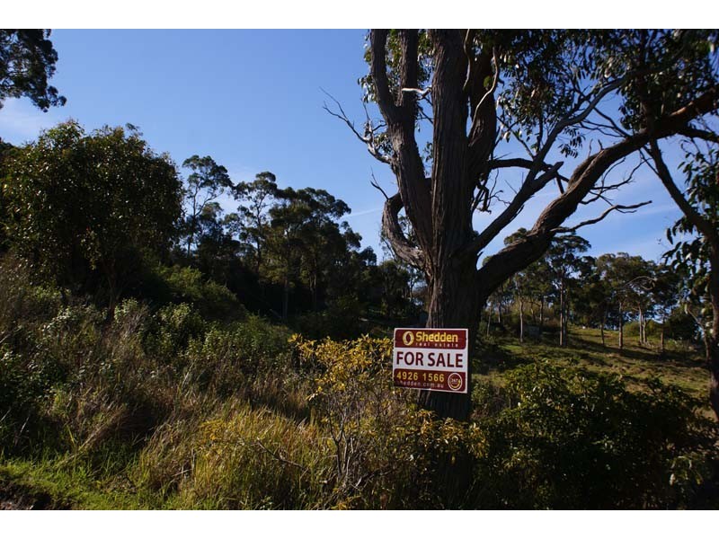 45 Auklett Rd, Mount Hutton NSW 2290