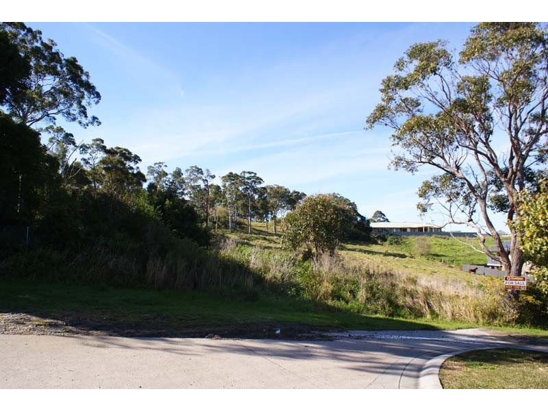 45 Auklett Rd, Mount Hutton NSW 2290