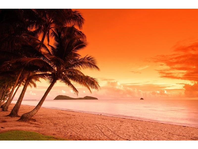 Lot 8 Foley Road, Palm Cove QLD 4879