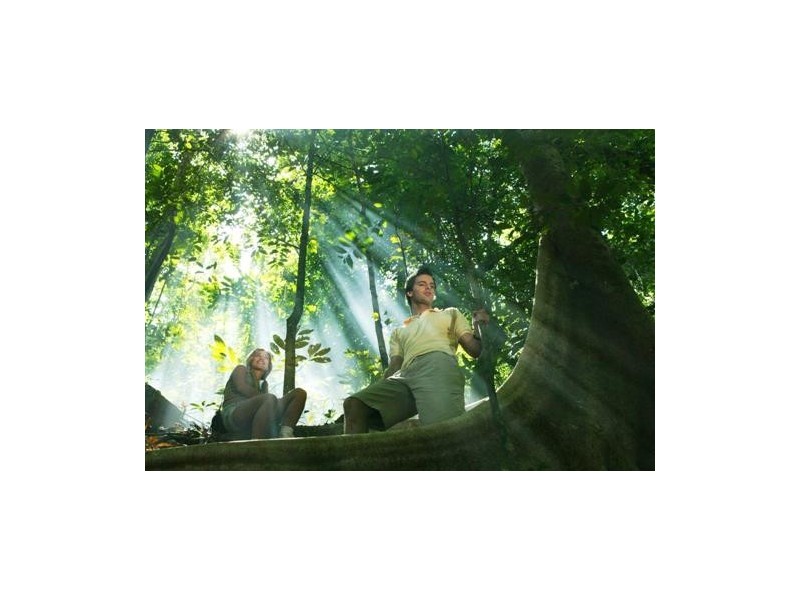 Lot 1219 Kehone Street, Redlynch QLD 4870