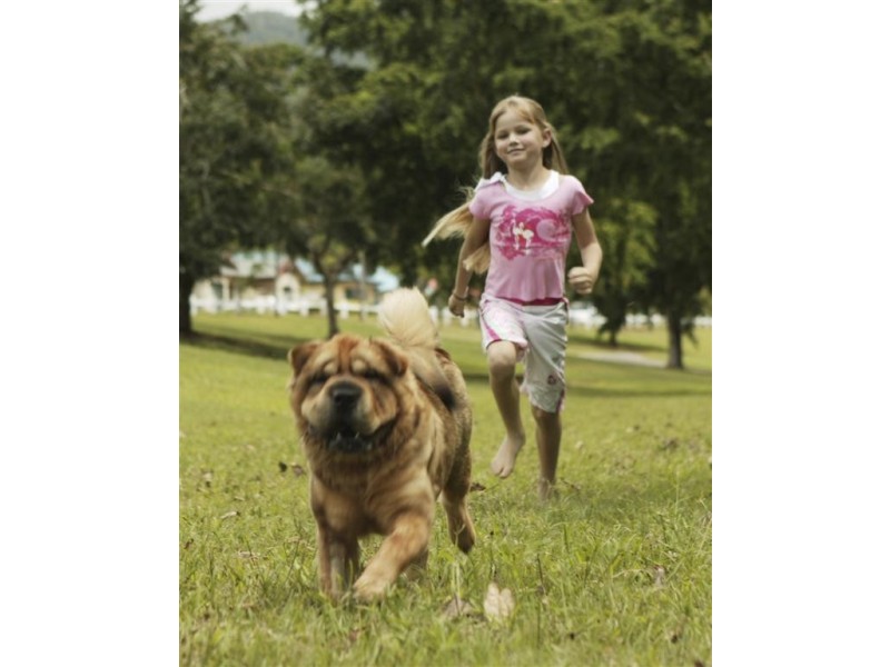 Lot 1219 Kehone Street, Redlynch QLD 4870