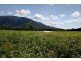 Lot 101, Mackerras, Redlynch QLD 4870