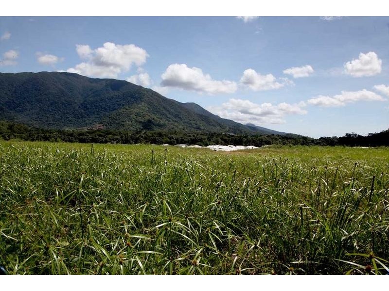 Lot 101, Mackerras, Redlynch QLD 4870