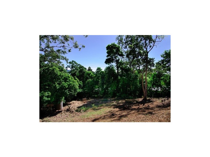 9 Michael Dwyer Close, Stratford QLD 4870