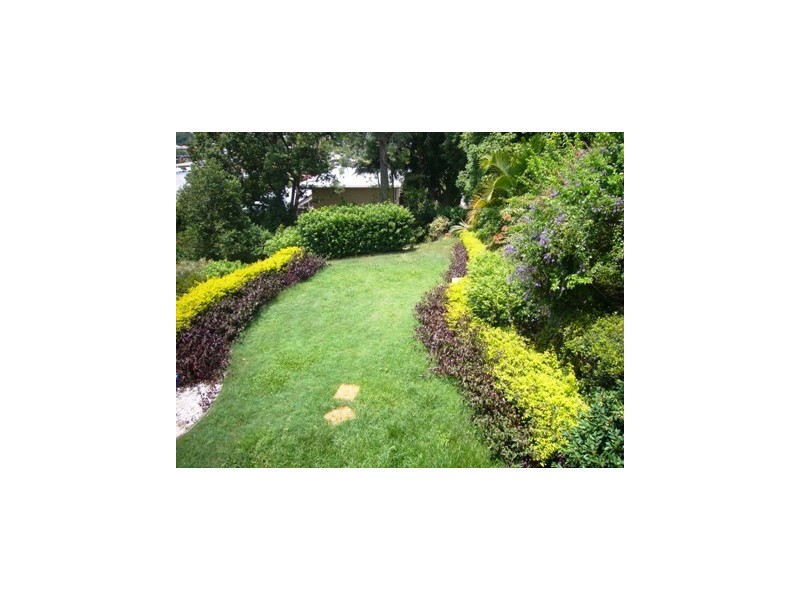 15 Musgrave Terrace, Alderley QLD 4051