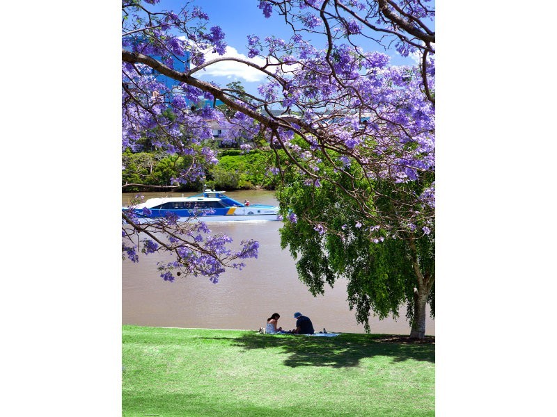 6201/60 Ferry Road ‘Riverpoint on Ferry’, West End QLD 4101