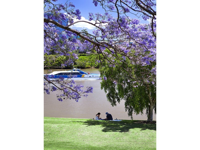 6603/60 Ferry Street ‘Riverpoint on Ferry’, West End QLD 4101