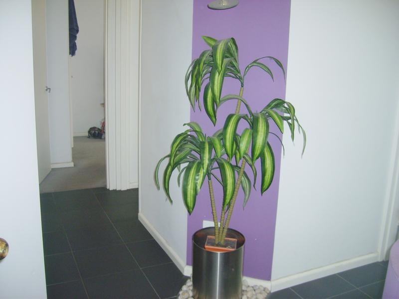 16/325 Orrong Road, St Kilda East VIC 3183